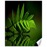 Leaf Canvas 11  x 14  (Unframed) 10.95 x13.48  Canvas - 1