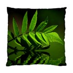 Leaf Cushion Case (Single Sided)  Front