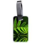 Leaf Luggage Tag (Two Sides) Back