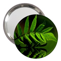 Leaf 3  Handbag Mirror by Siebenhuehner