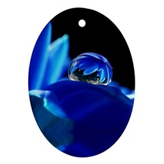 Waterdrop Oval Ornament by Siebenhuehner