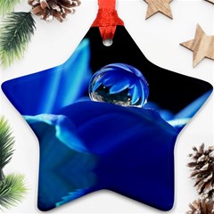 Waterdrop Star Ornament