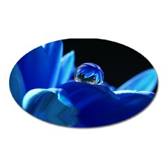 Waterdrop Magnet (oval) by Siebenhuehner