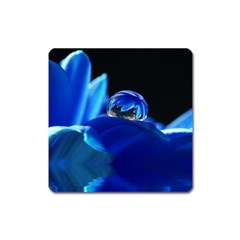 Waterdrop Magnet (square) by Siebenhuehner