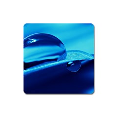 Waterdrops Magnet (square)