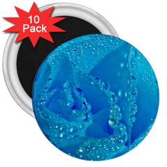 Blue Rose 3  Button Magnet (10 pack)