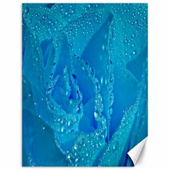 Blue Rose Canvas 12  x 16  (Unframed)