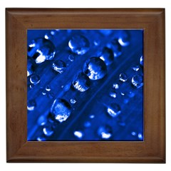 Waterdrops Framed Ceramic Tile