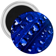 Waterdrops 3  Button Magnet