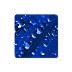 Waterdrops Magnet (square)