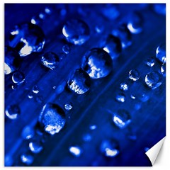 Waterdrops Canvas 16  X 16  (unframed)