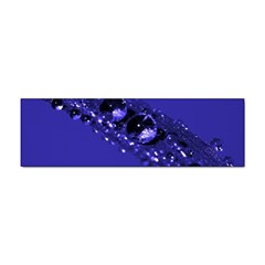 Waterdrops Bumper Sticker 10 Pack by Siebenhuehner