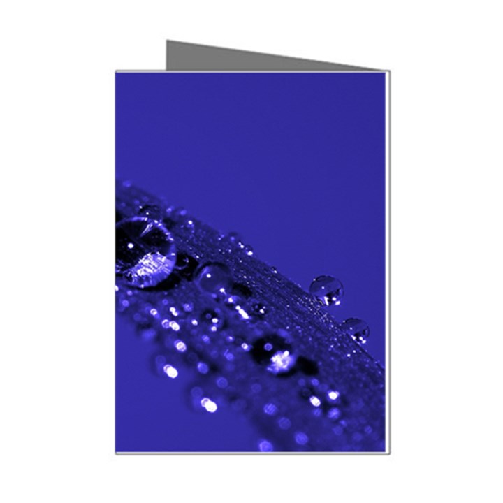 Waterdrops Mini Greeting Card (8 Pack)