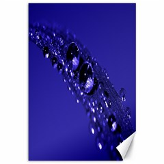 Waterdrops Canvas 12  X 18  (unframed) by Siebenhuehner