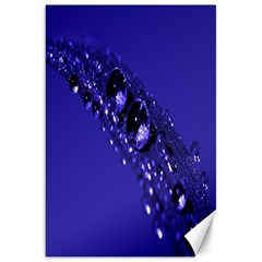 Waterdrops Canvas 20  X 30  (unframed) by Siebenhuehner