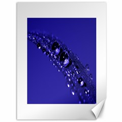 Waterdrops Canvas 36  X 48  (unframed) by Siebenhuehner