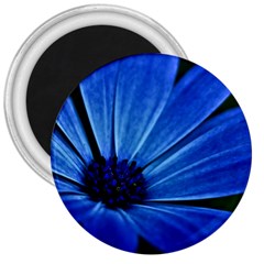 Flower 3  Button Magnet by Siebenhuehner