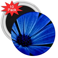 Flower 3  Button Magnet (10 Pack) by Siebenhuehner