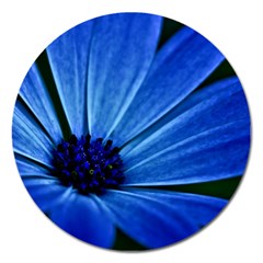 Flower Magnet 5  (round) by Siebenhuehner