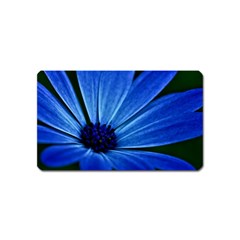 Flower Magnet (name Card) by Siebenhuehner