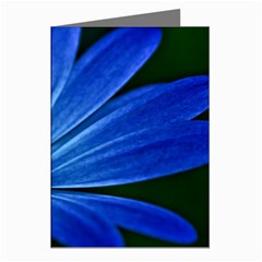 Flower Greeting Card (8 Pack) by Siebenhuehner