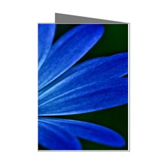 Flower Mini Greeting Card (8 Pack) by Siebenhuehner