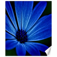 Flower Canvas 8  X 10  (unframed)