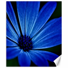 Flower Canvas 20  X 24  (unframed) by Siebenhuehner