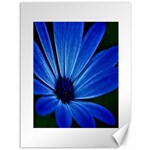 Flower Canvas 36  x 48  (Unframed) 35.26 x46.15  Canvas - 1