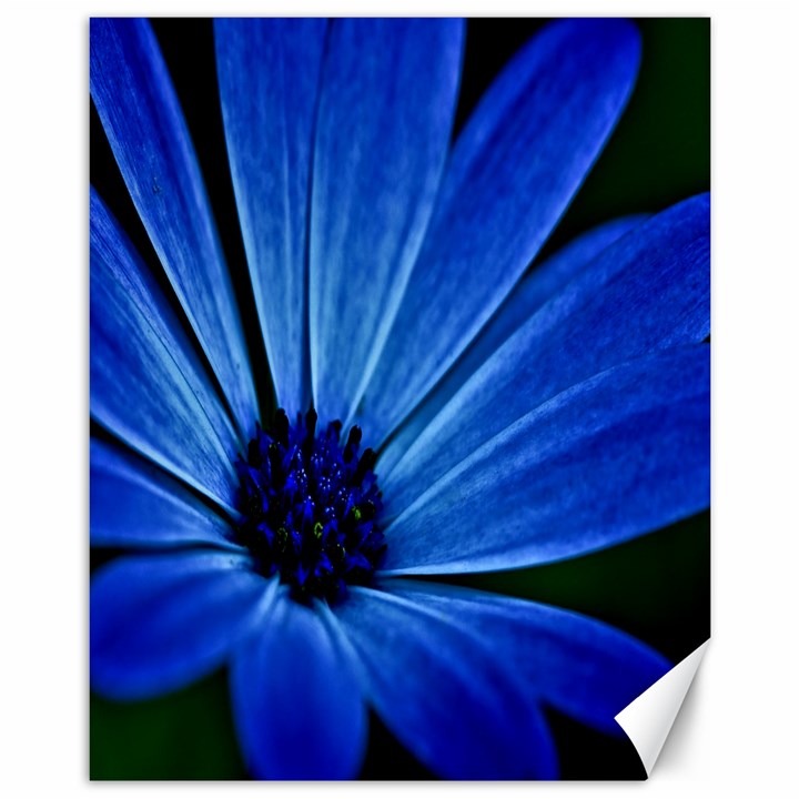 Flower Canvas 11  x 14  (Unframed)