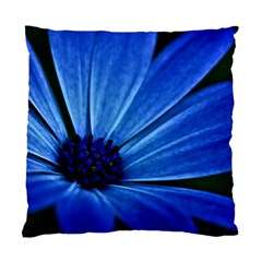 Flower Cushion Case (two Sided)  by Siebenhuehner