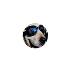 Cool Dog  1  Mini Button Magnet by Siebenhuehner