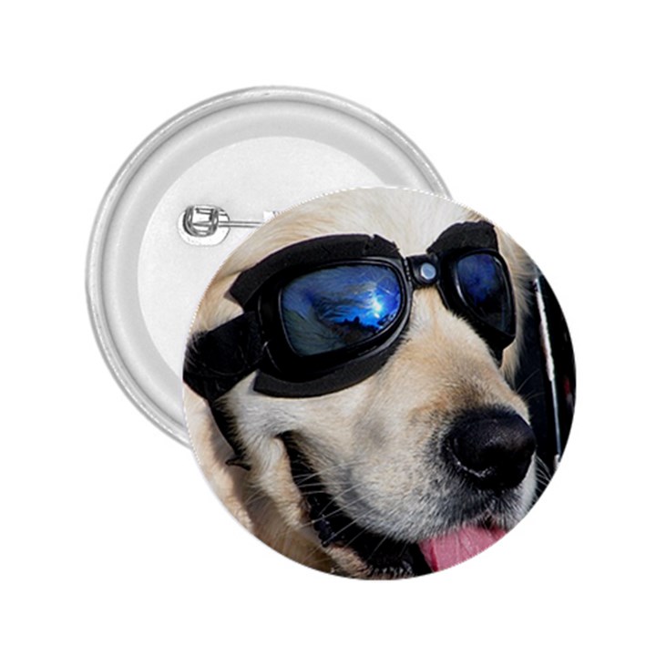 Cool Dog  2.25  Button