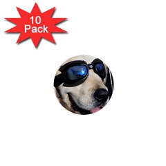 Cool Dog  1  Mini Button (10 Pack) by Siebenhuehner