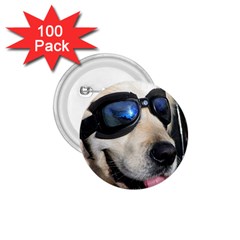 Cool Dog  1 75  Button (100 Pack)