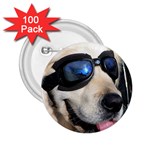 Cool Dog  2.25  Button (100 pack) Front