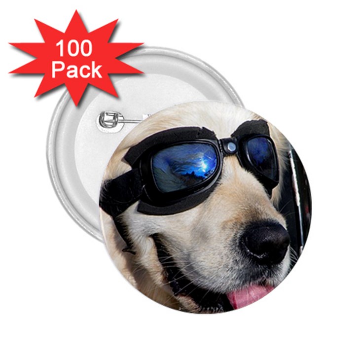 Cool Dog  2.25  Button (100 pack)