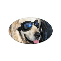 Cool Dog  Sticker (oval) by Siebenhuehner