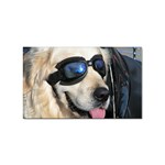 Cool Dog  Sticker 10 Pack (Rectangle) Front