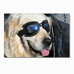 Cool Dog  Postcards 5  X 7  (10 Pack) by Siebenhuehner