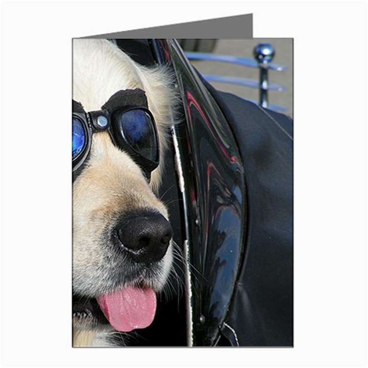 Cool Dog  Greeting Card (8 Pack)