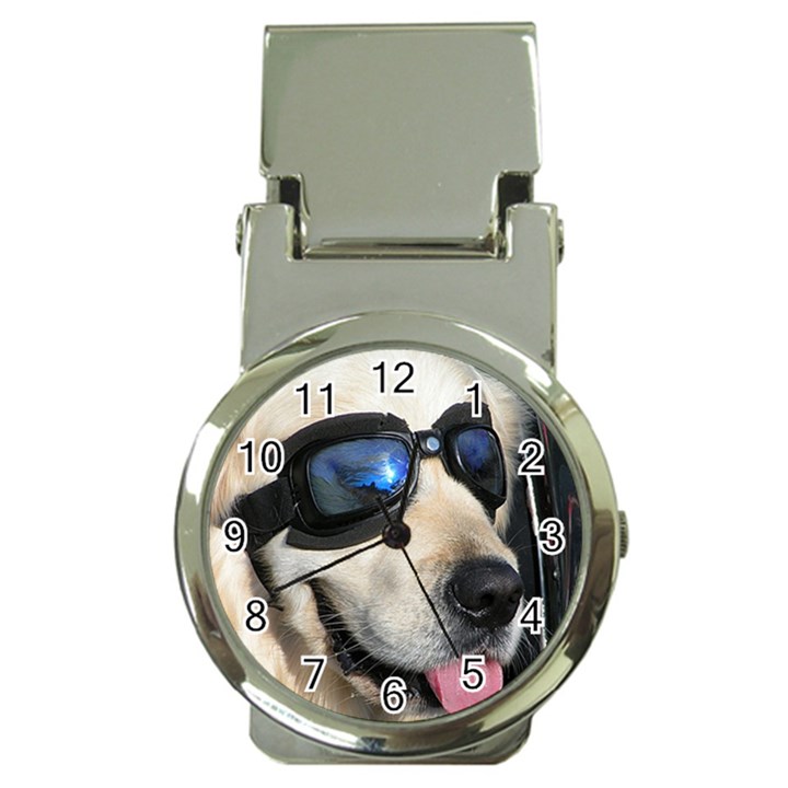 Cool Dog  Money Clip with Watch