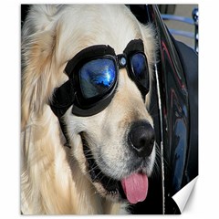 Cool Dog  Canvas 8  X 10  (unframed) by Siebenhuehner