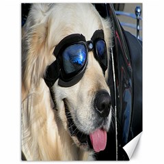 Cool Dog  Canvas 18  X 24  (unframed) by Siebenhuehner