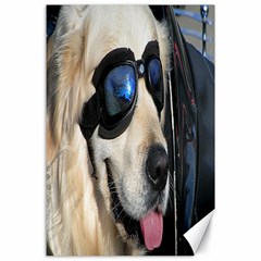 Cool Dog  Canvas 24  X 36  (unframed) by Siebenhuehner