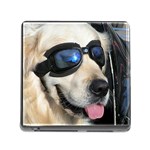 Cool Dog  Memory Card Reader with Storage (Square) Front