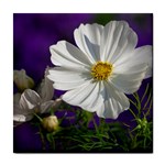 Cosmea   Ceramic Tile Front