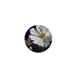 Cosmea   1  Mini Button Magnet Front