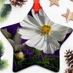 Cosmea   Star Ornament Front