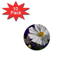 Cosmea   1  Mini Button (10 Pack)